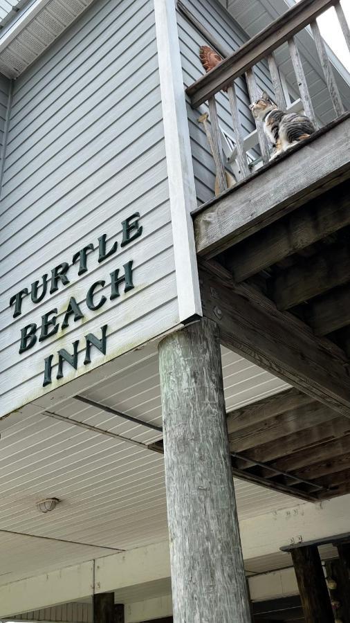 Indian Pass Turtle Beach Inn מראה חיצוני תמונה